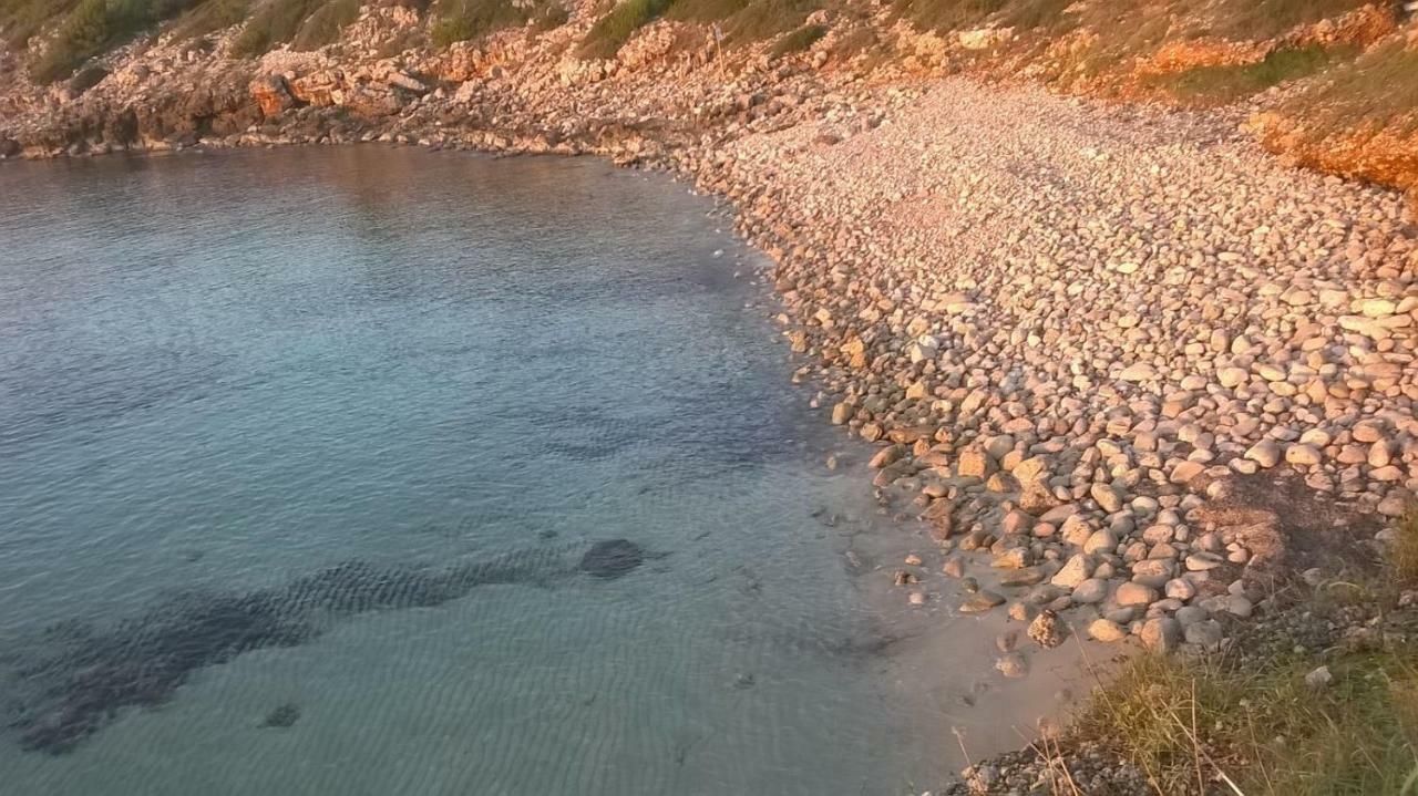 B&B Viadelmare Patù Eksteriør billede